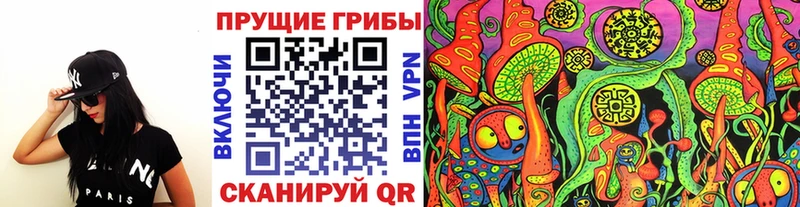 Псилоцибиновые грибы Psilocybine cubensis Купить Югорск